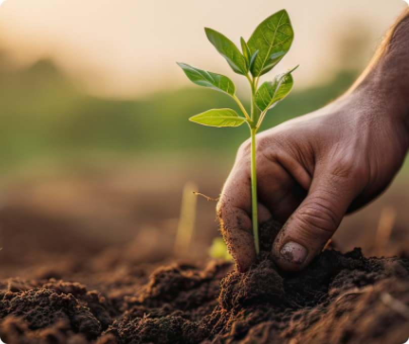 Wie man zuverlässige Bauunternehmen für sein Projekt in Deutschland findet